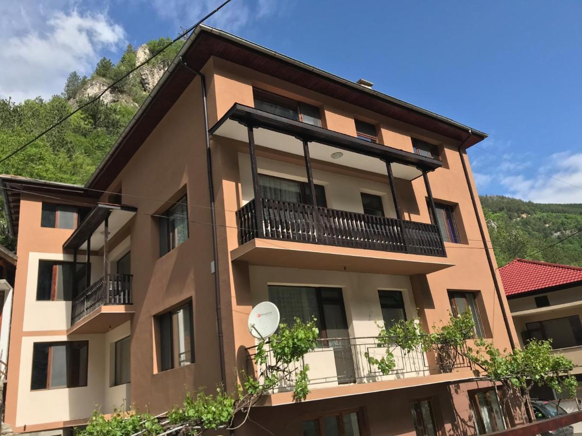 Viktoria Paradise Dewin Exterior foto